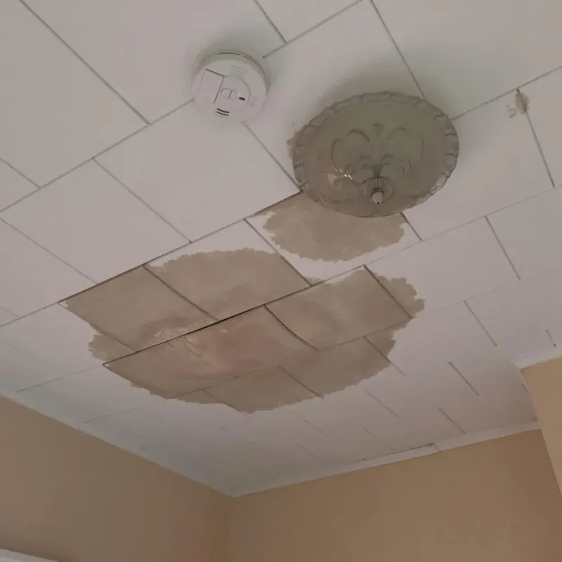 Ceiling Water Damage Repair in Highfield-Cascade, MD