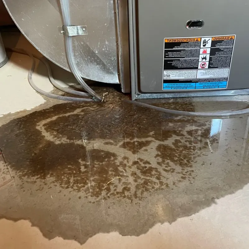 Pipe Burst and Leak Restoration in Highfield-Cascade, MD